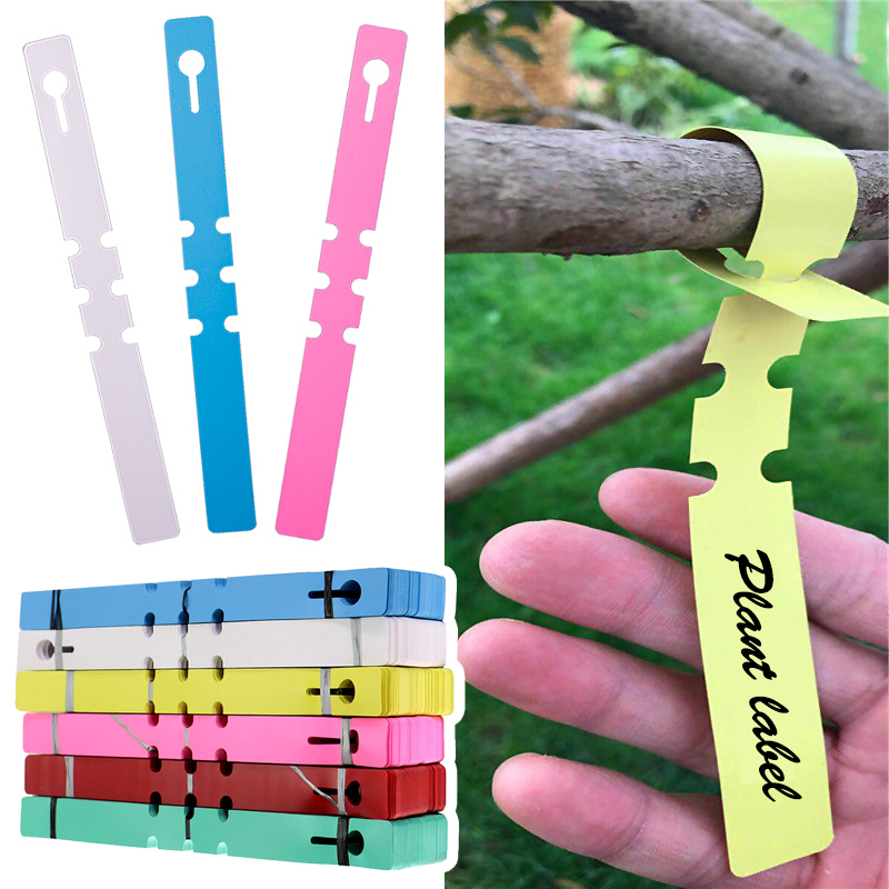 Gardening Tools Labeled - 50 adet Su Geçirmez Bitki İşaretleyicileri