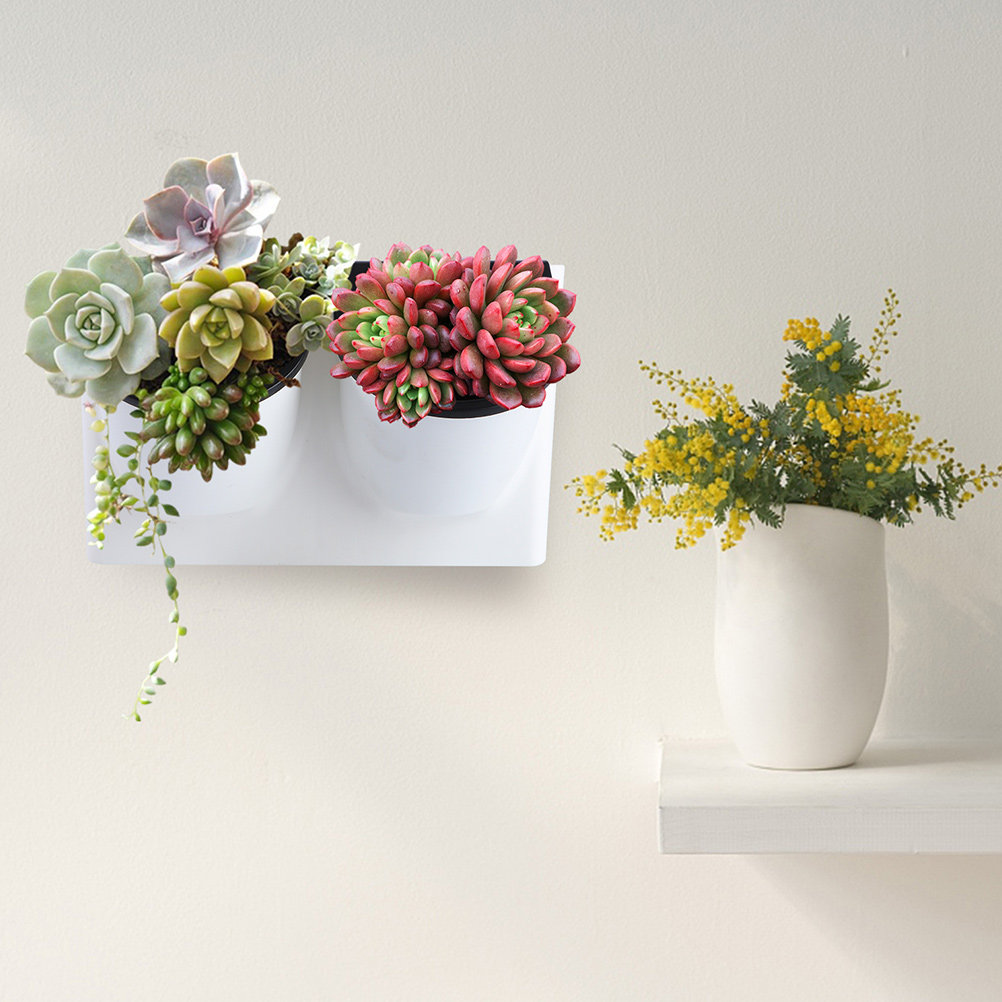 Self-Watering Planter - Kendi Kendine Sulanan Çiçek Saksısı Plastik
