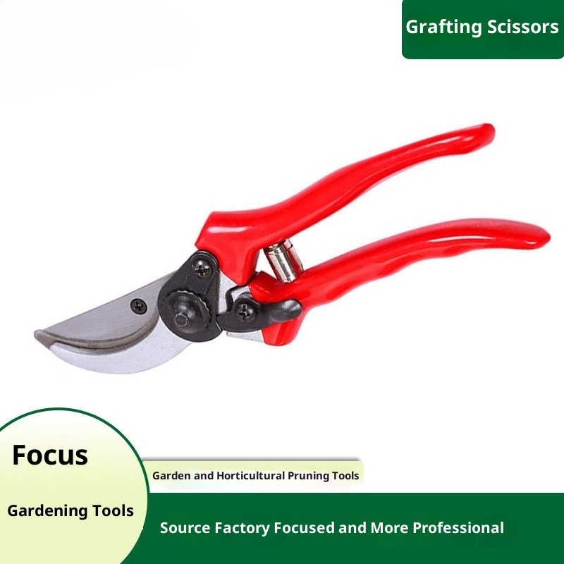 Gardening Tools Quality - Premium Aşılama Budama Makası İthal Kaliteli