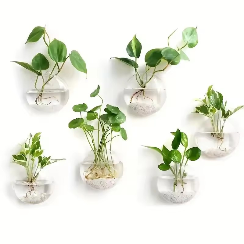 Self-Watering Planter - 2/4/6'lı Paket Duvara Asılan Cam Teraryum