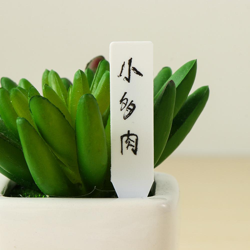 Gardening Tools Labeled - 100 Adet Yeniden Kullanılabilir Tohumlar Su