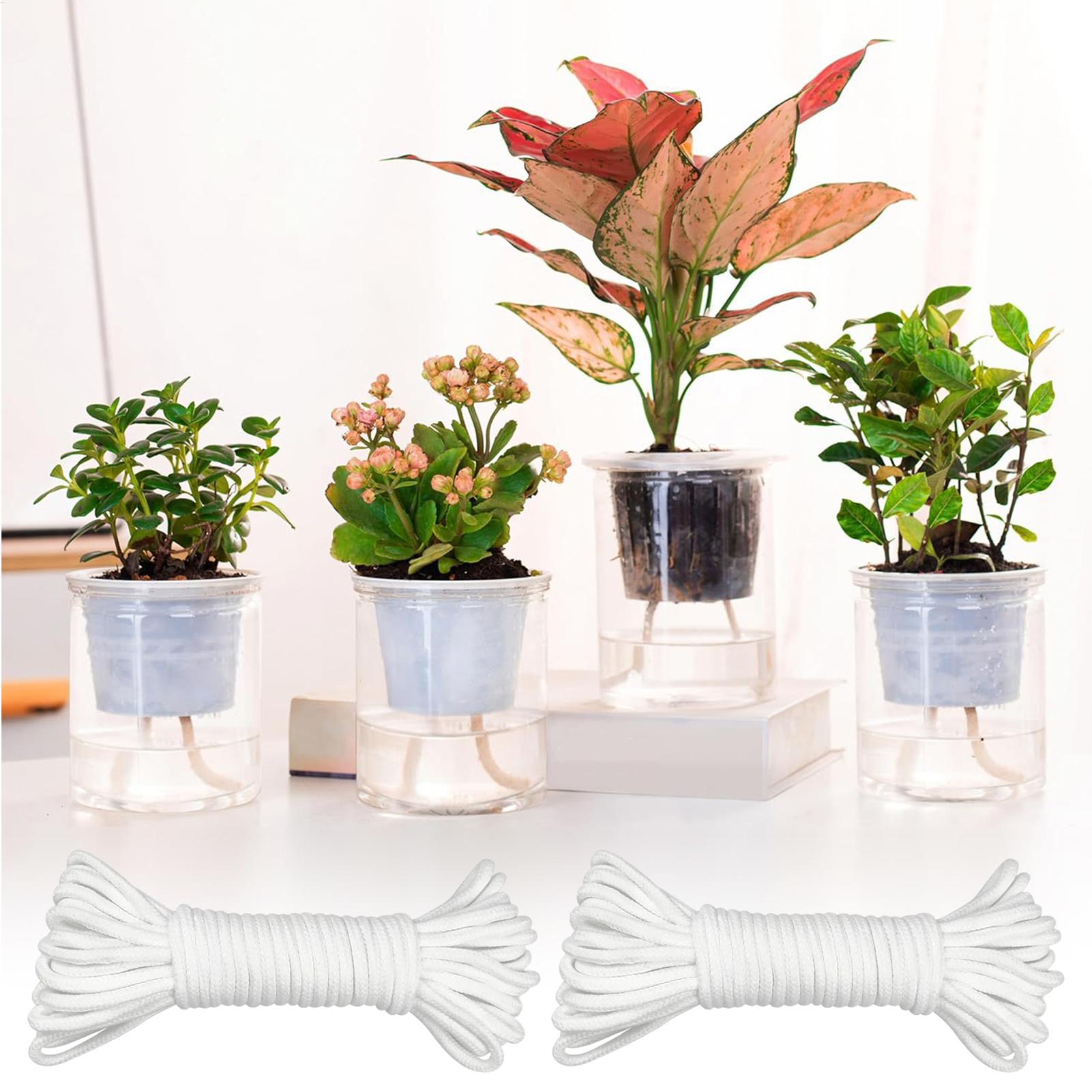 Kendi Kendine Sulamalı Bitki F - Self-Watering Planter incelemesi ve fiyatı