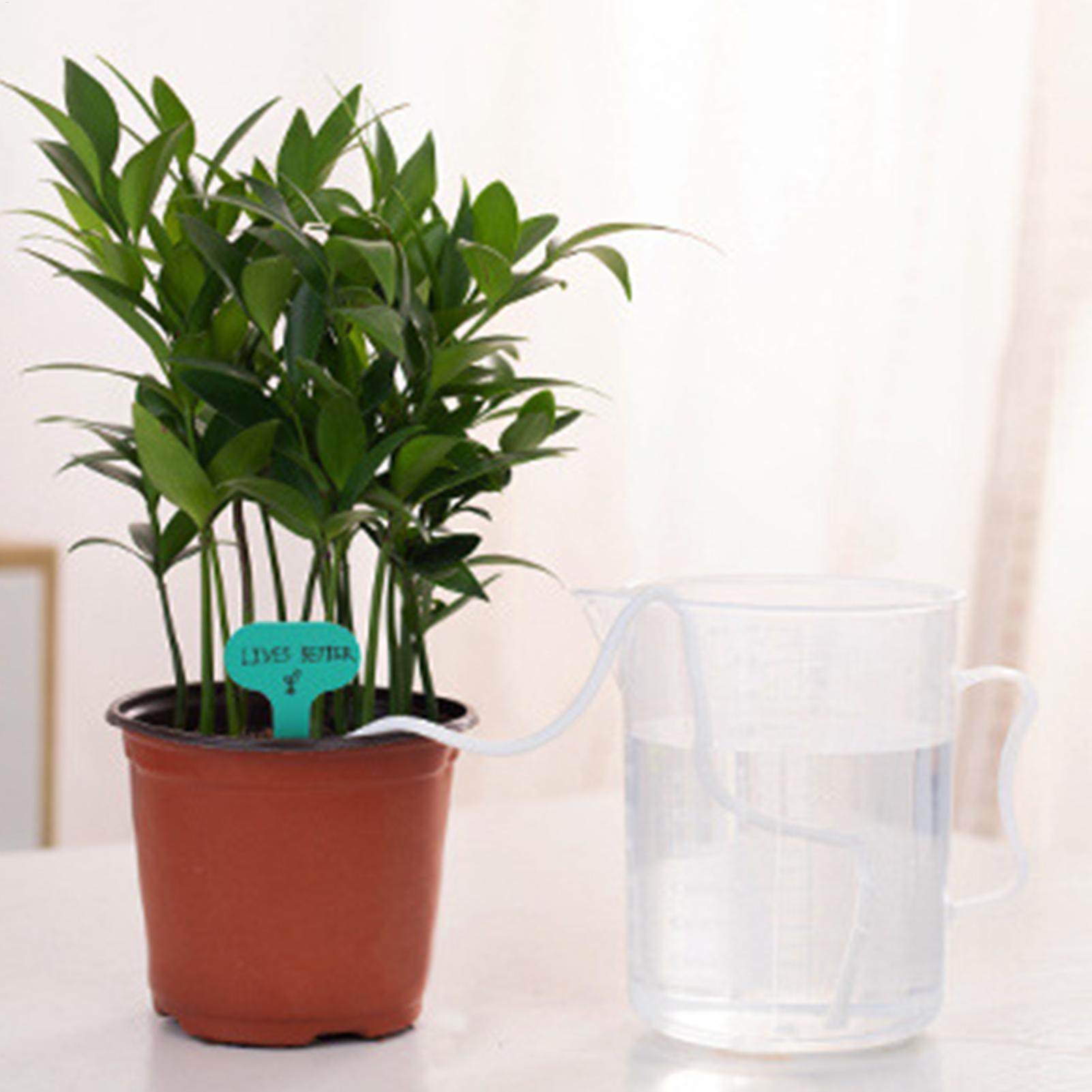 Kendi Kendine Sulamalı Bitki F - Self-Watering Planter incelemesi ve fiyatı