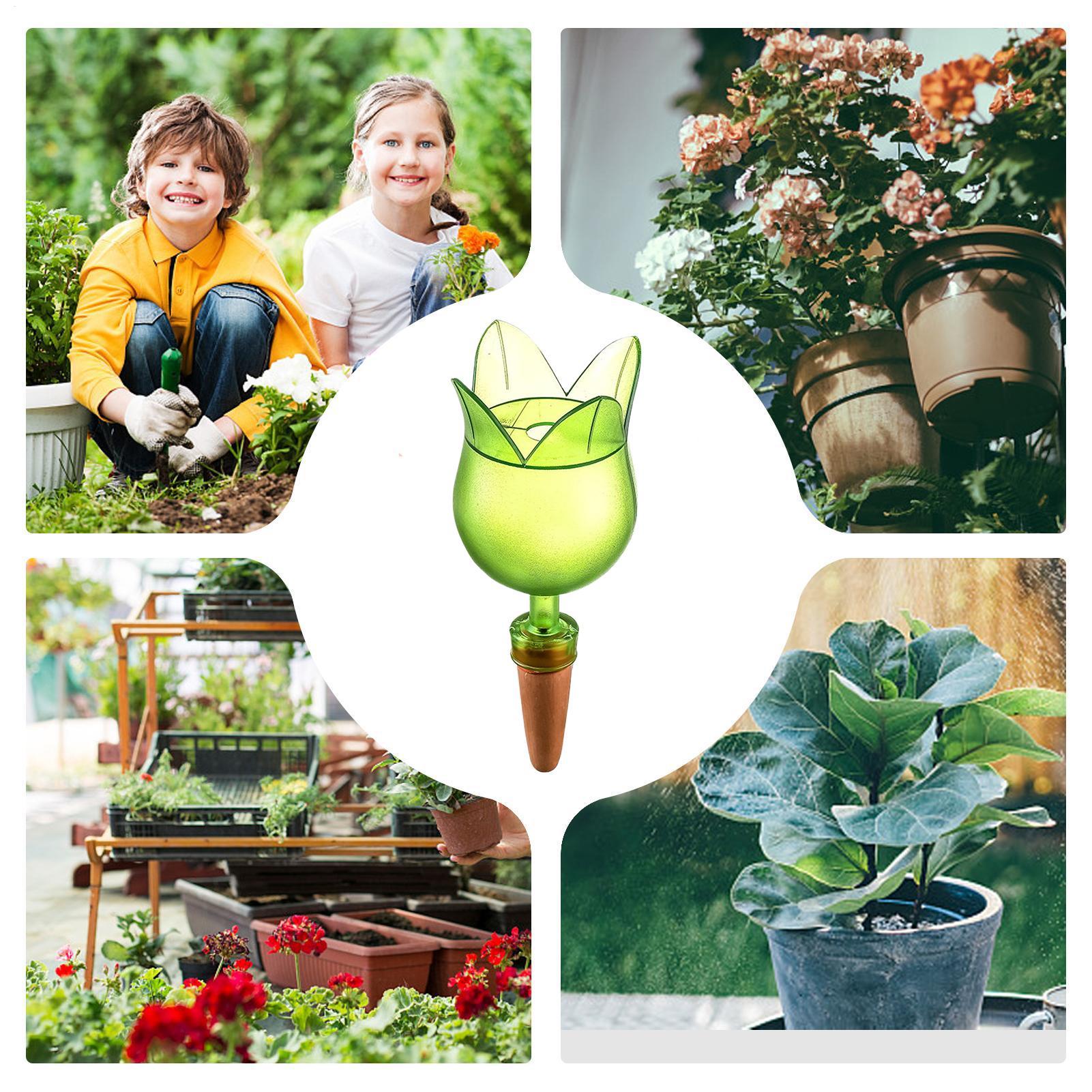 Bitki Kendi Kendine Sulama Cih - Self-Watering Planter incelemesi ve fiyatı