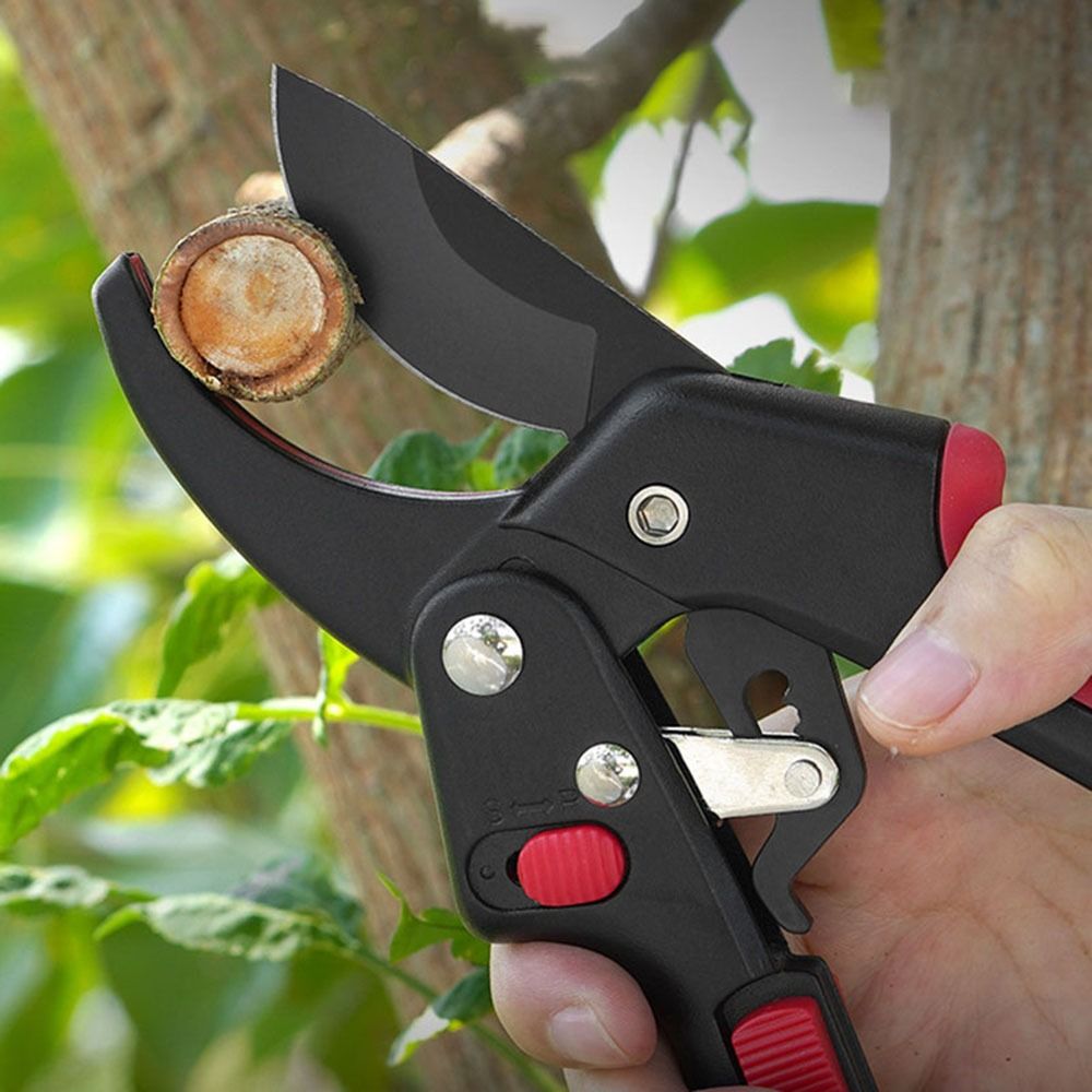Ayarlanabilir Cırcır Bahçe Bud - Gardening Tools Sharp incelemesi ve fiyatı