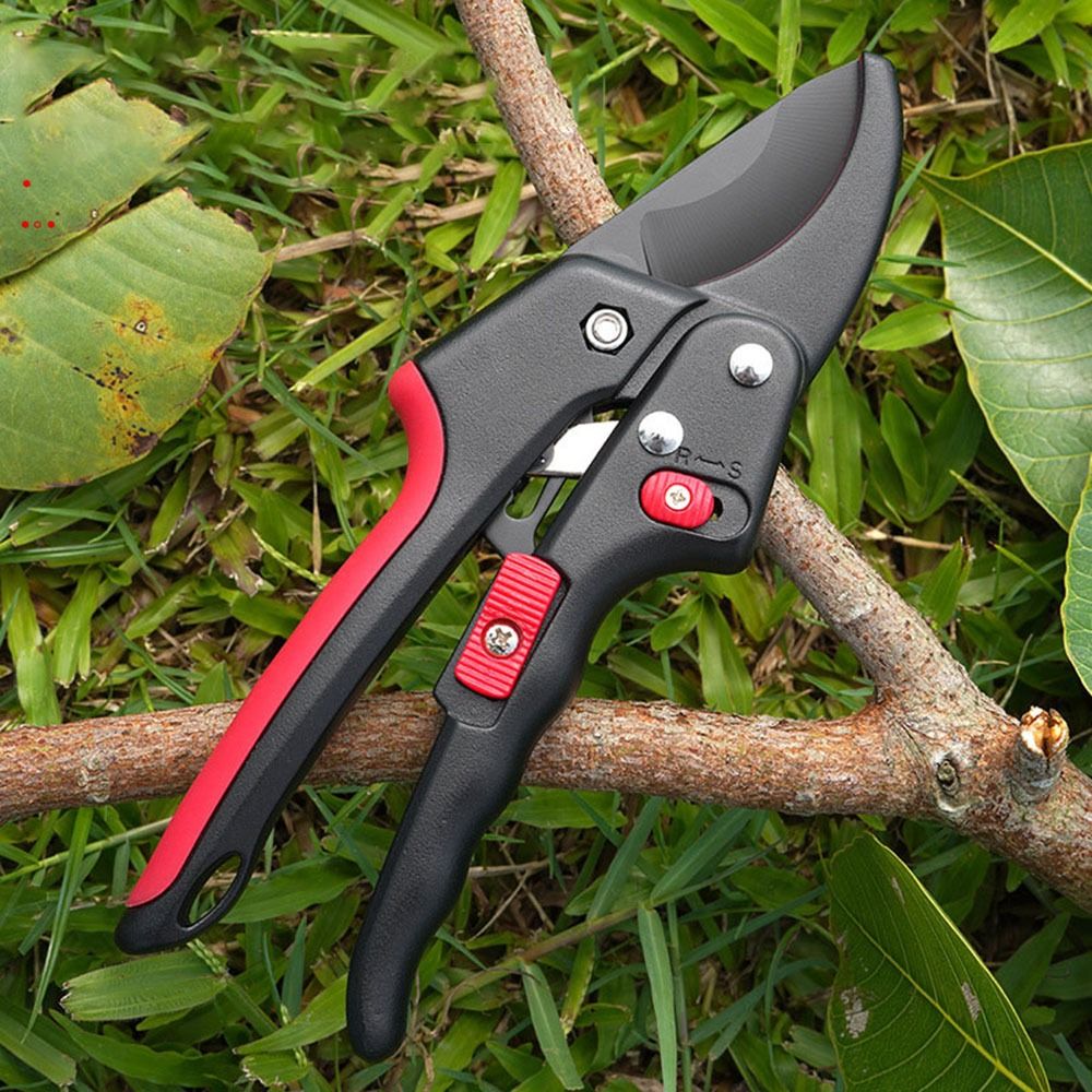 Ayarlanabilir Cırcır Bahçe Bud - Gardening Tools Sharp incelemesi ve fiyatı