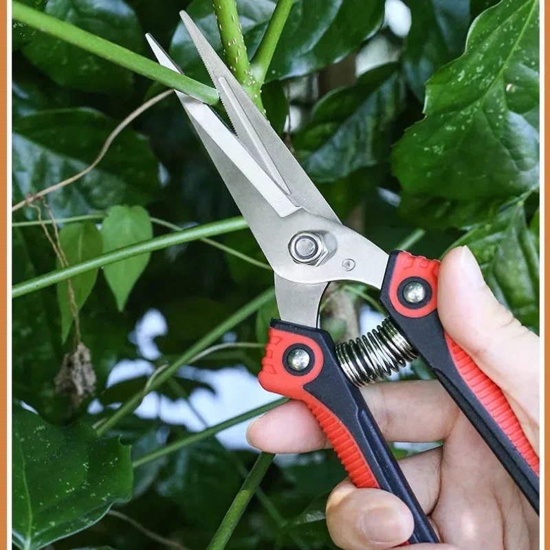 NEWSHARK Paslanmaz Çelik Budam - Gardening Tools Sharp incelemesi ve fiyatı