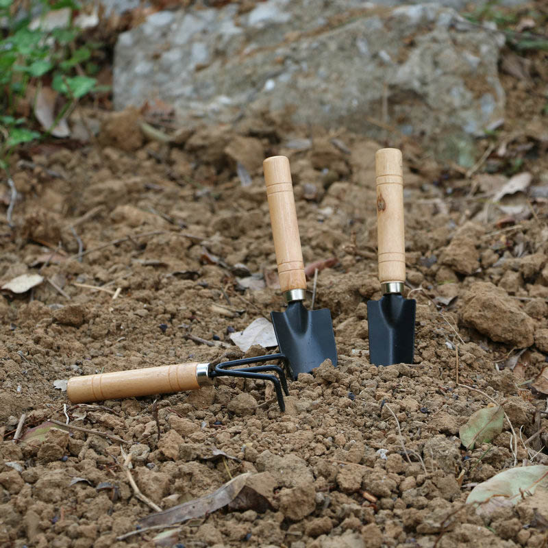 3 adet/takım Mini Bahçe Alet S - Gardening Tools For Digging incelemesi ve fiyatı