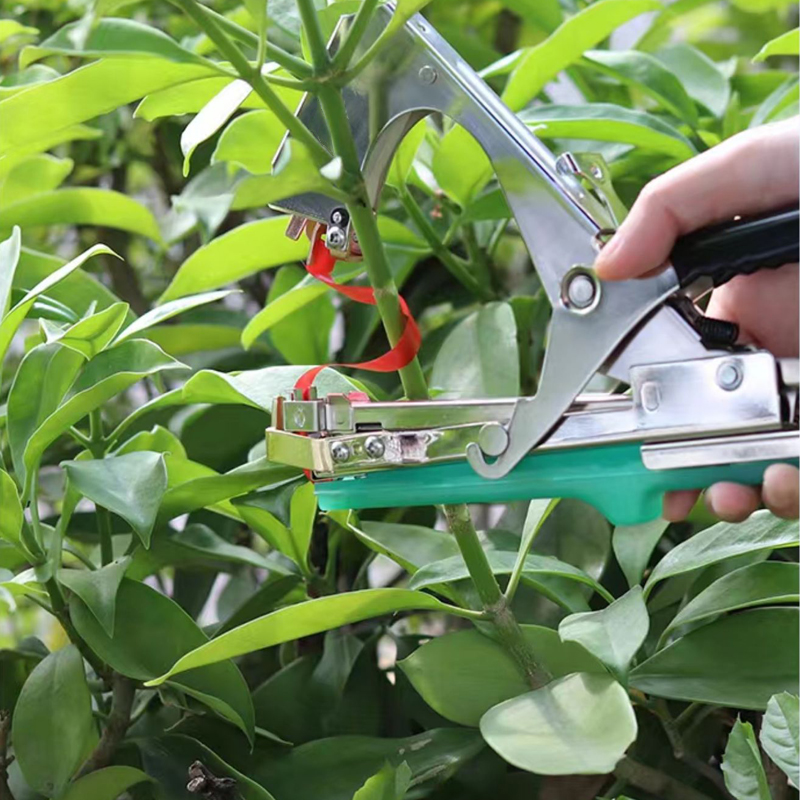 Bahçe Bitkileri Dal Bağlama Ma - Gardening Tools Kit For Home Garden incelemesi ve fiyatı