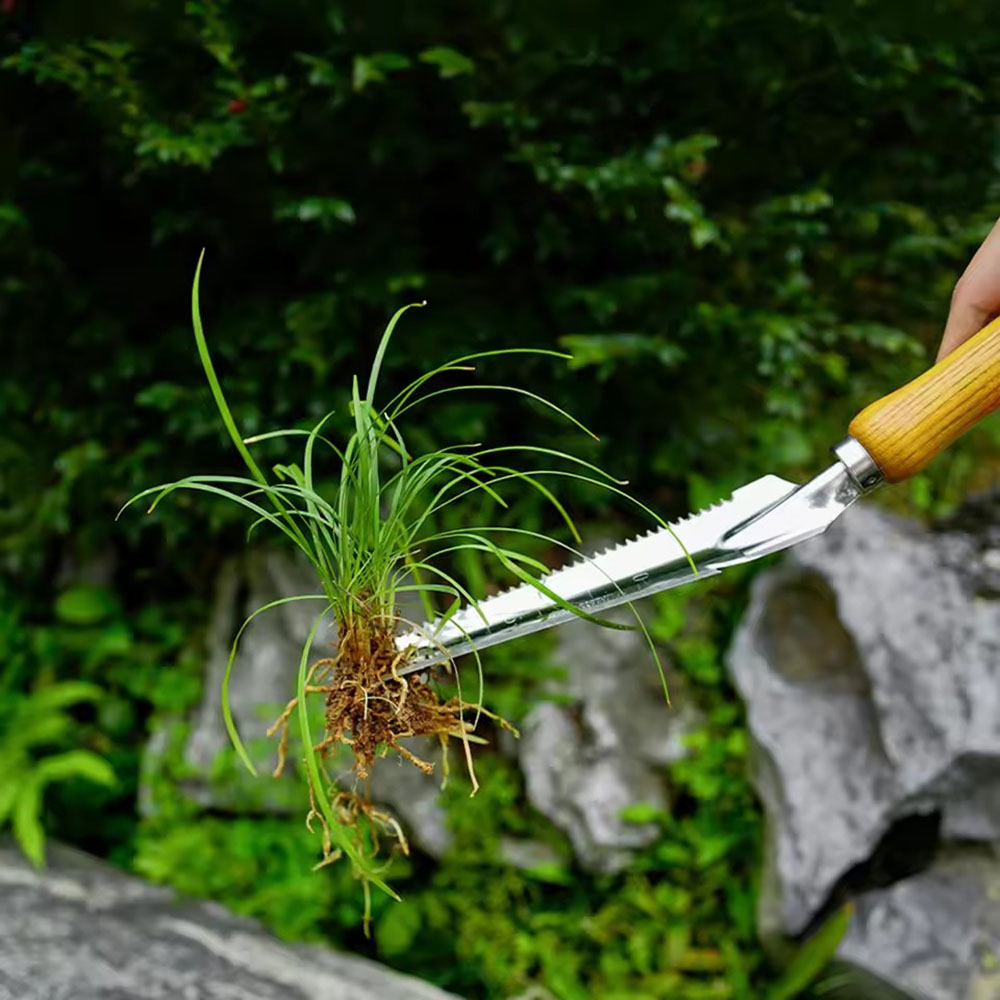 Paslanmaz Çelik Yabani Ot Temi - Gardening Tools Sharp incelemesi ve fiyatı
