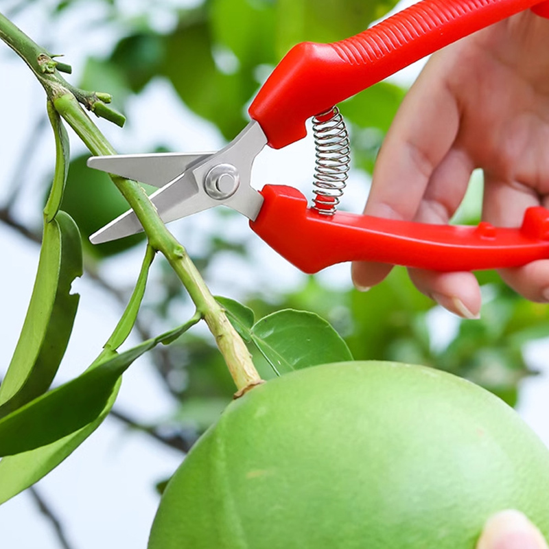 Tek elle kullanılan makas buda - Gardening Tools Sharp incelemesi ve fiyatı