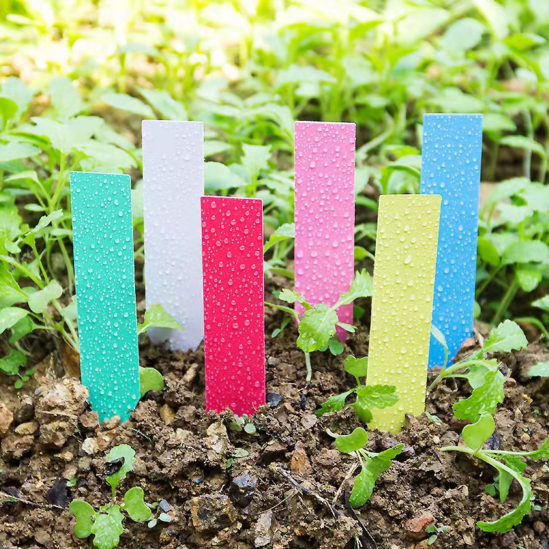 100 Adet Bahçe Bitki Etiketler - Gardening Tools Labeled incelemesi ve fiyatı