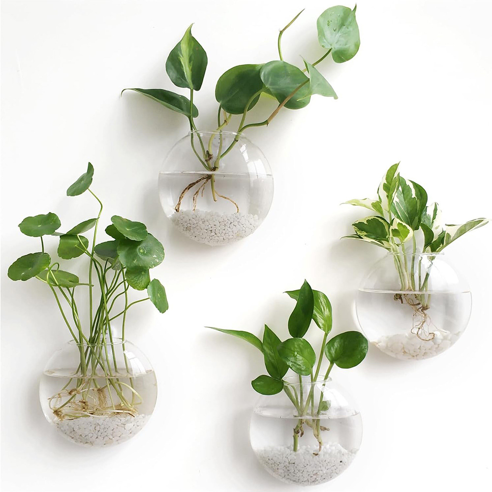 2/4/6'lı Paket Duvara Asılan C - Self-Watering Planter incelemesi ve fiyatı