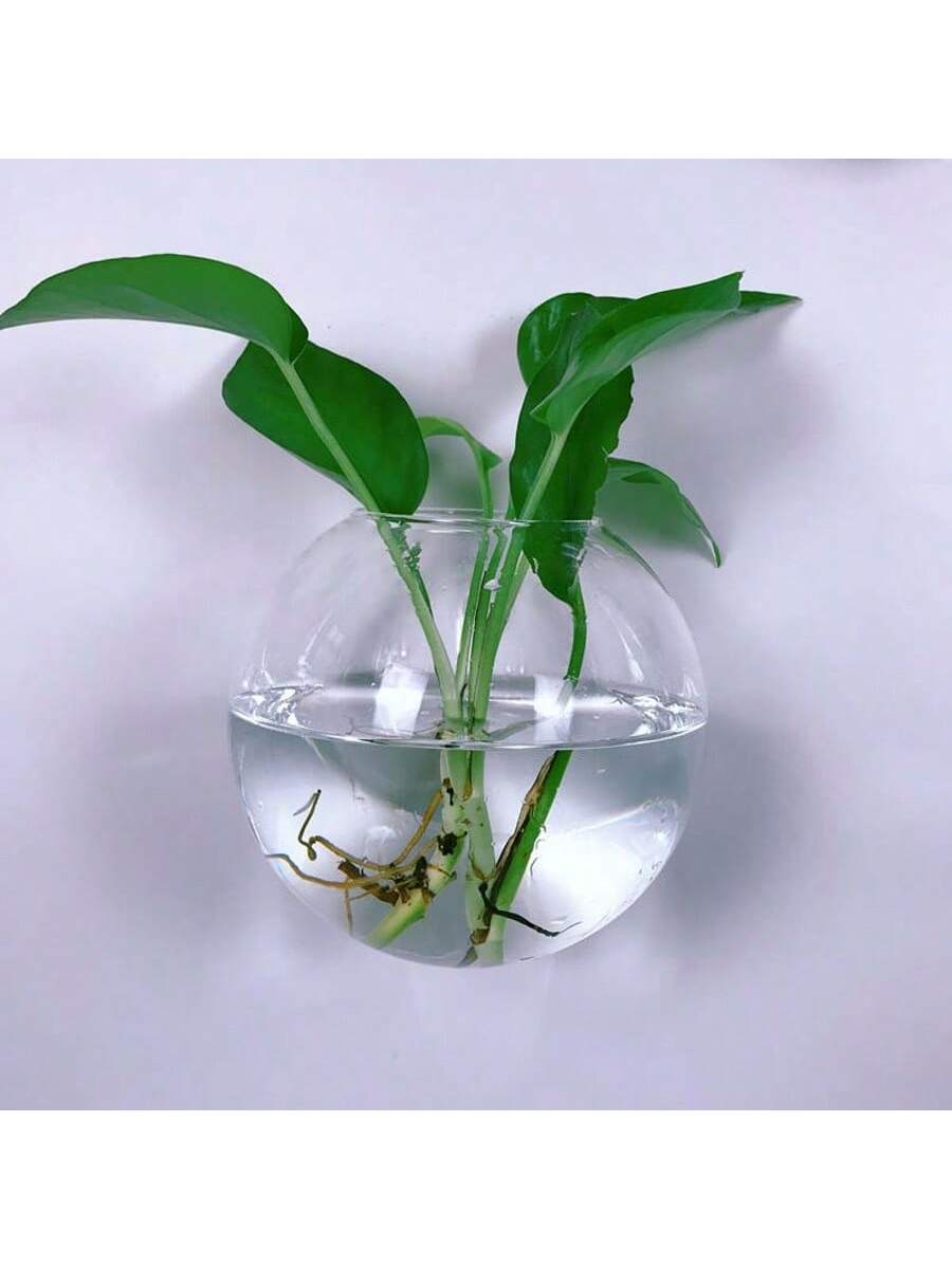 2/4/6'lı Paket Duvara Asılan C - Self-Watering Planter incelemesi ve fiyatı