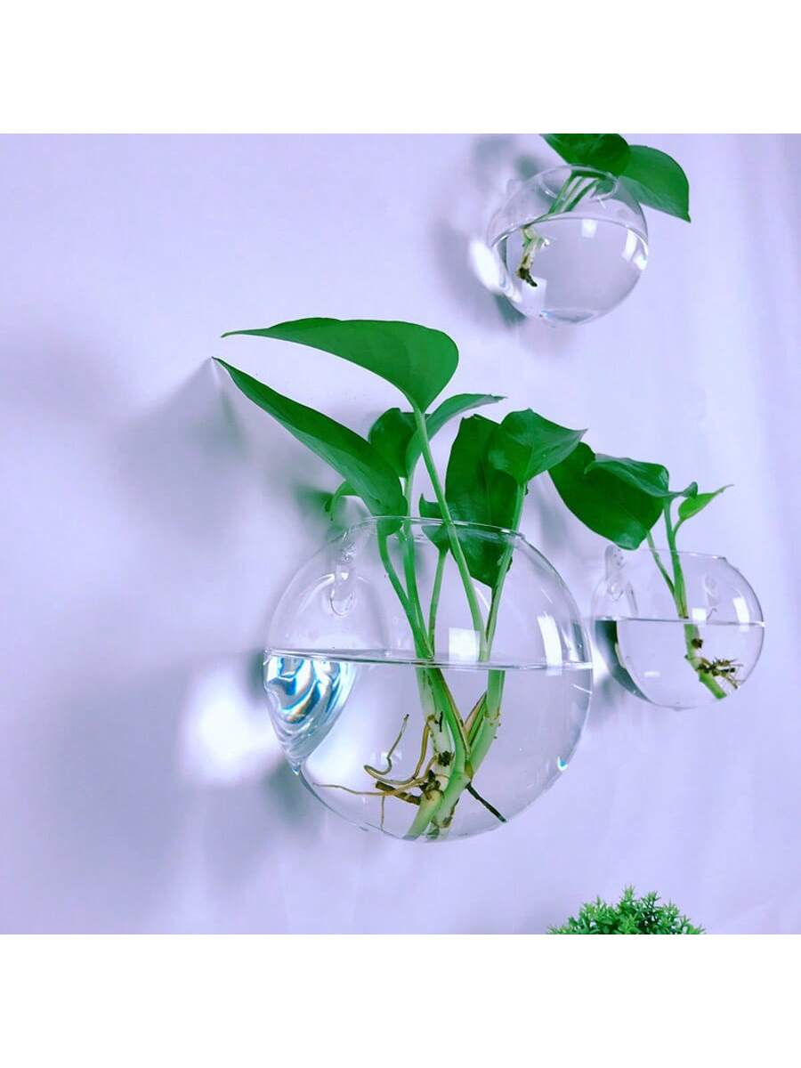 2/4/6'lı Paket Duvara Asılan C - Self-Watering Planter incelemesi ve fiyatı