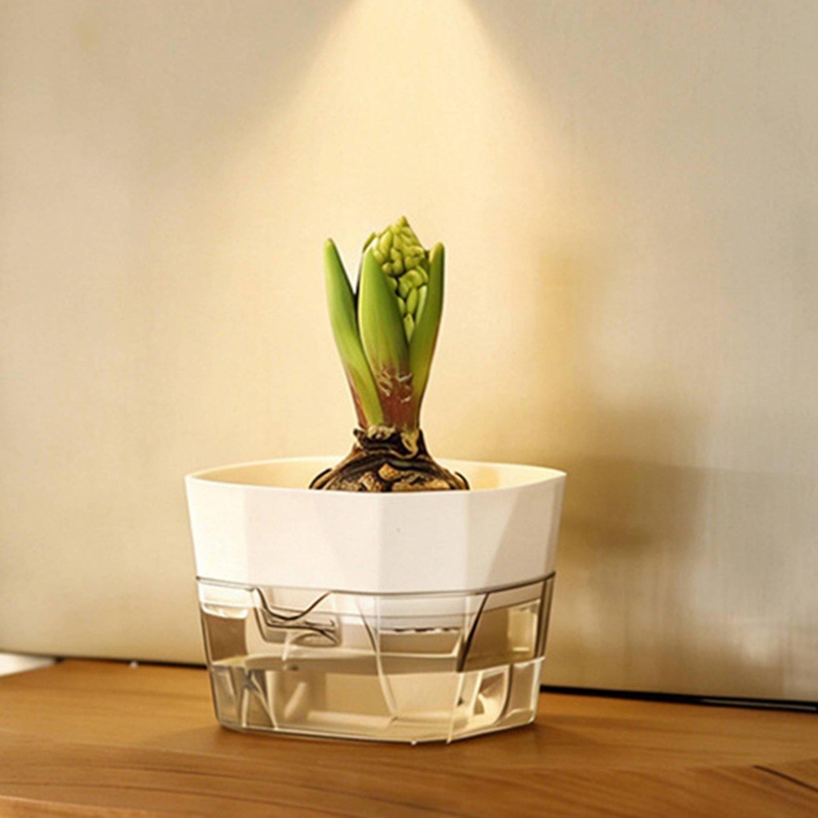 Hidroponik Vazo İki Katmanlı K - Self-Watering Planter incelemesi ve fiyatı