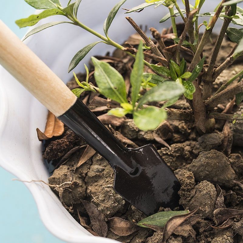 3 adet/1 takım Mini bahçe alet - Gardening Tools For Digging incelemesi ve fiyatı