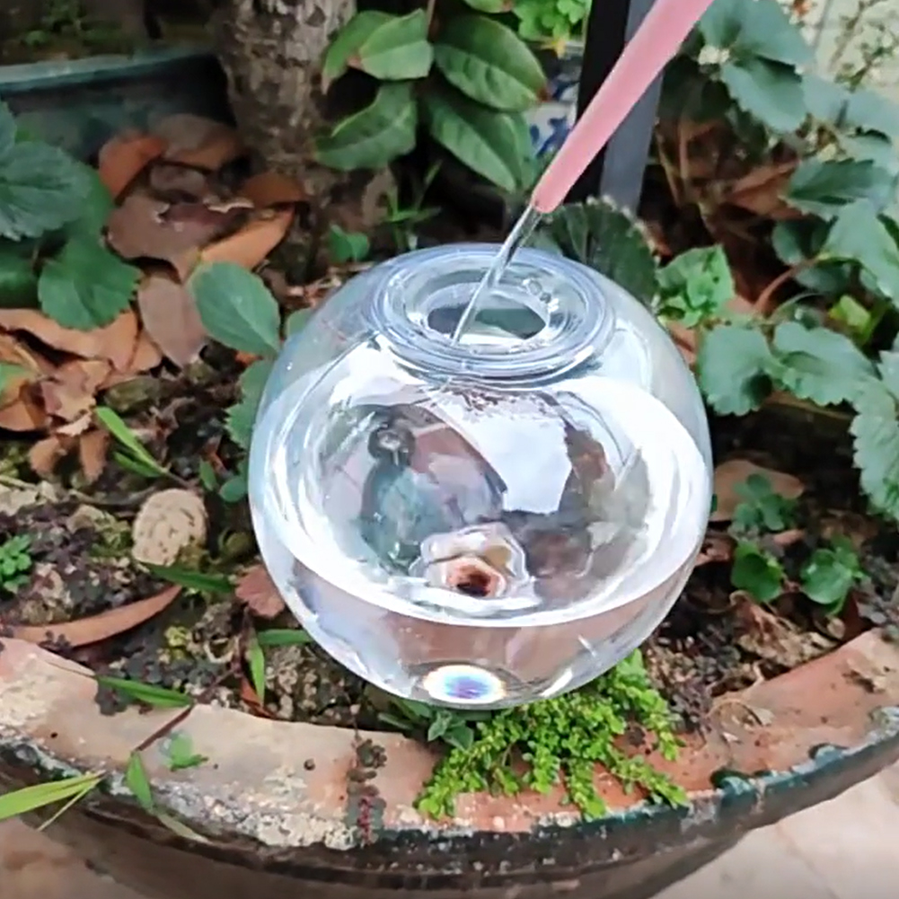 500ML Kendiliğinden Sulanan Kü - Self-Watering Planter incelemesi ve fiyatı