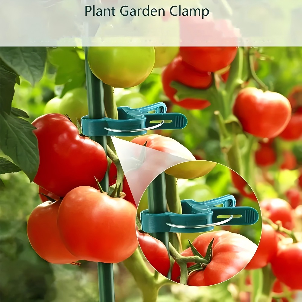 10/30/50 adet Ayarlanabilir Bi - Essential Gardening Tools incelemesi ve fiyatı