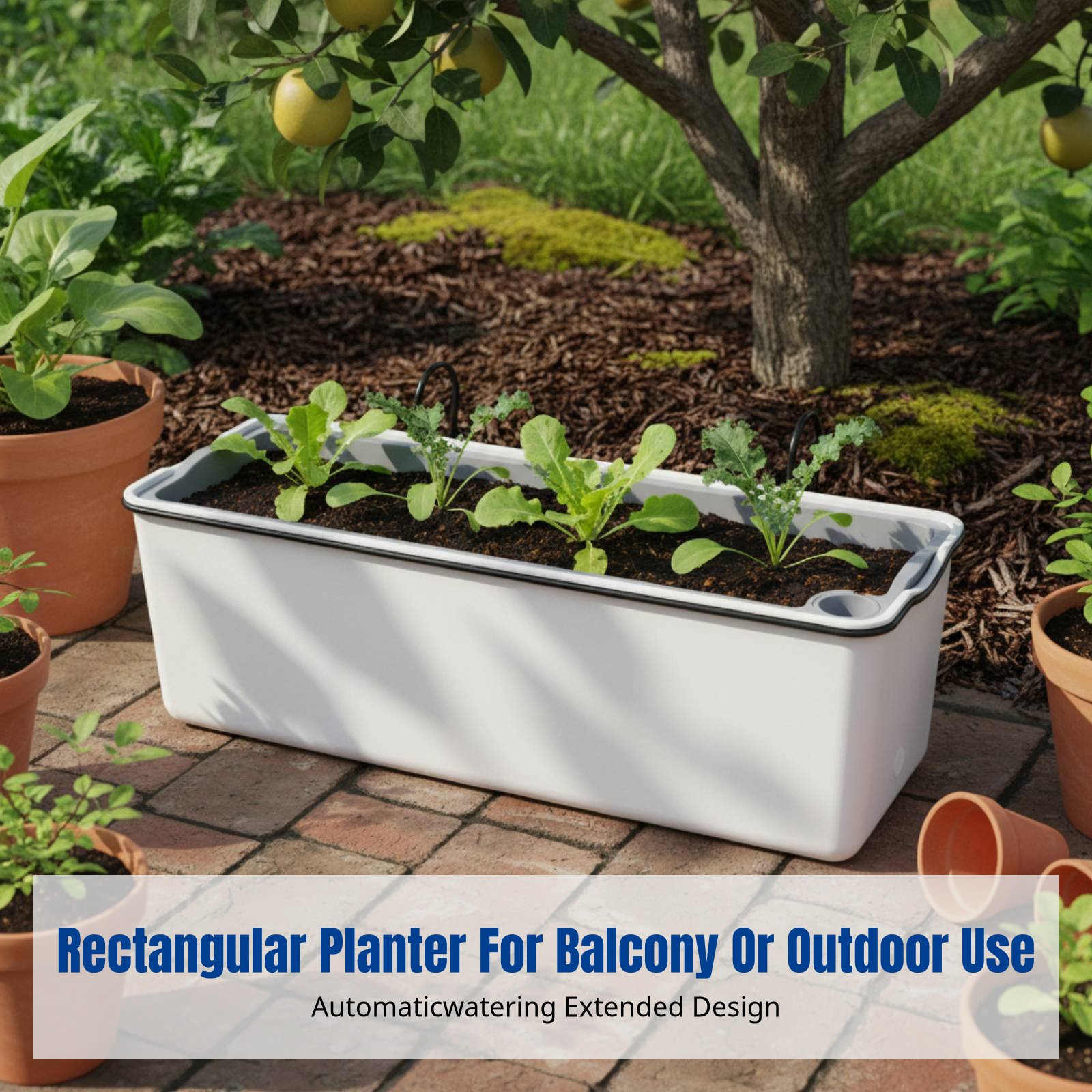 Balkon Asma Çiçek Saksısı Dikd - Self-Watering Planter incelemesi ve fiyatı