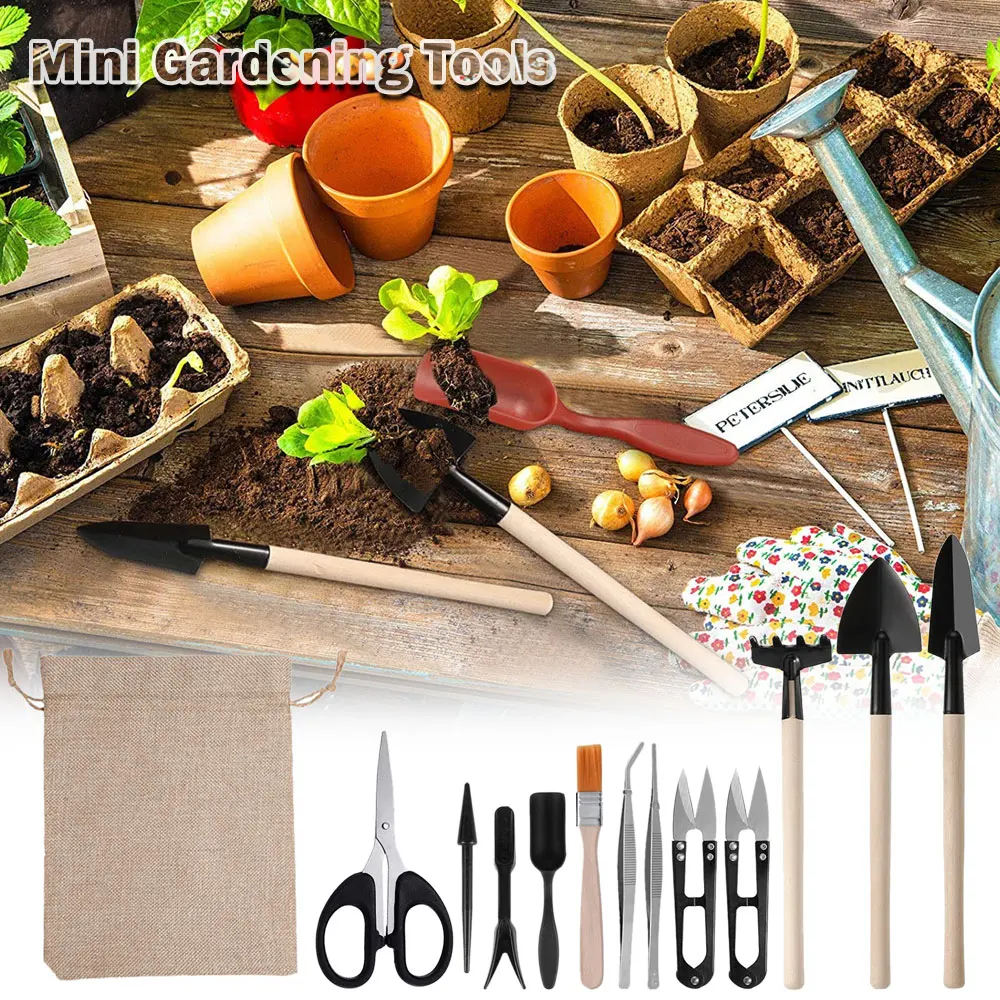 Kapalı bitki için 13 adet etli - Gardening Tools Kit For Home Garden incelemesi ve fiyatı