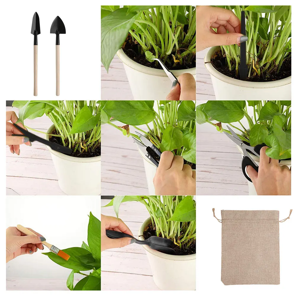 Kapalı bitki için 13 adet etli - Gardening Tools Kit For Home Garden incelemesi ve fiyatı