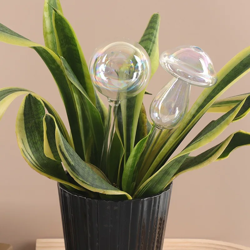 Üstün Kaliteli Gökkuşağı Degra - Self-Watering Planter incelemesi ve fiyatı