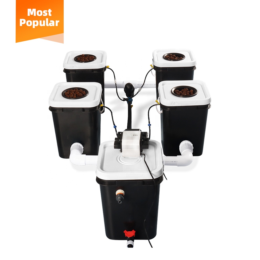 Çin'de En Kaliteli İç Mekan Su - Gardening Tools Best Quality incelemesi ve fiyatı