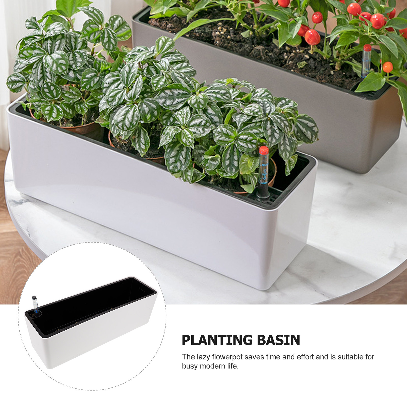 1 Set Kalın Dar Kenarlı Plasti - Self-Watering Planter incelemesi ve fiyatı
