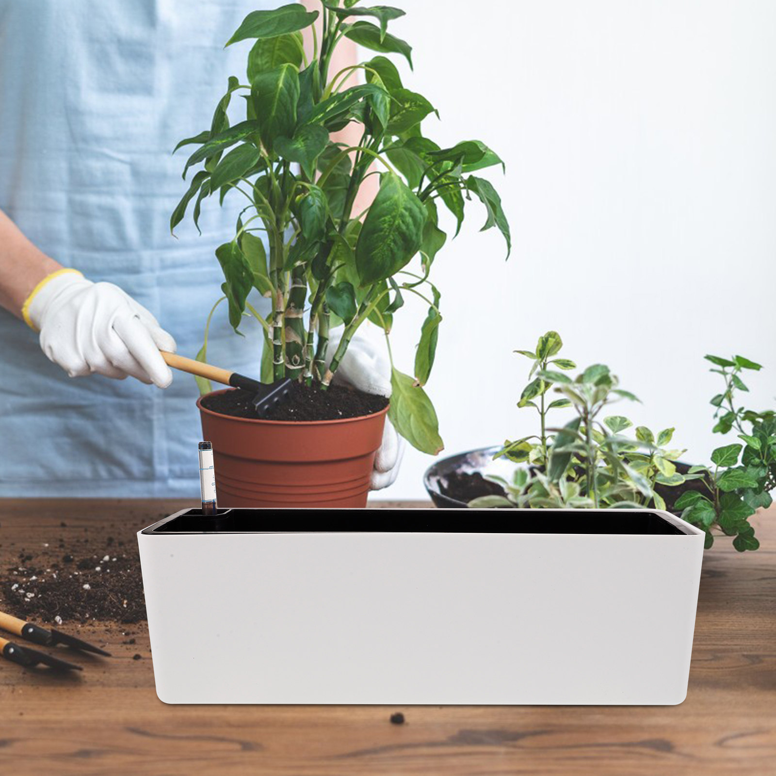 1 Set Kalın Dar Kenarlı Plasti - Self-Watering Planter incelemesi ve fiyatı
