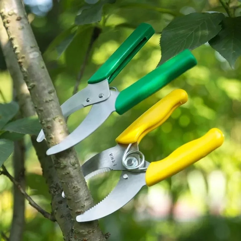 Keskin Soyma Bıçağı Bahçe Ağaç - Gardening Tools Sharp incelemesi ve fiyatı