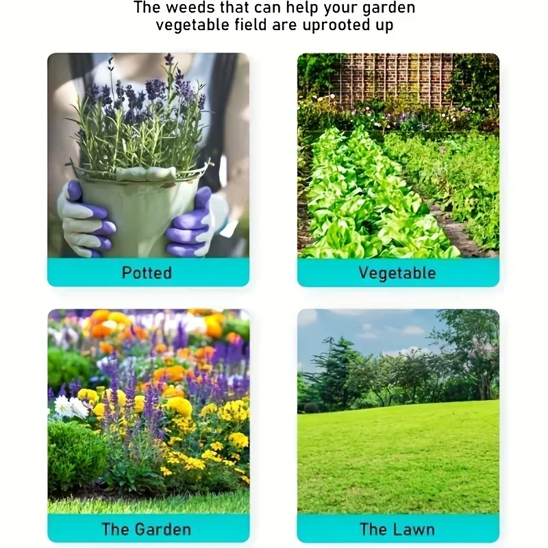Siyah Ayıklayacaktır Kafa Deği - Gardening Tools For Digging incelemesi ve fiyatı