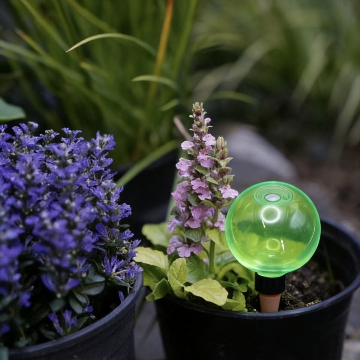 3 adet Büyük Bitki Kendiliğind - Self-Watering Planter incelemesi ve fiyatı