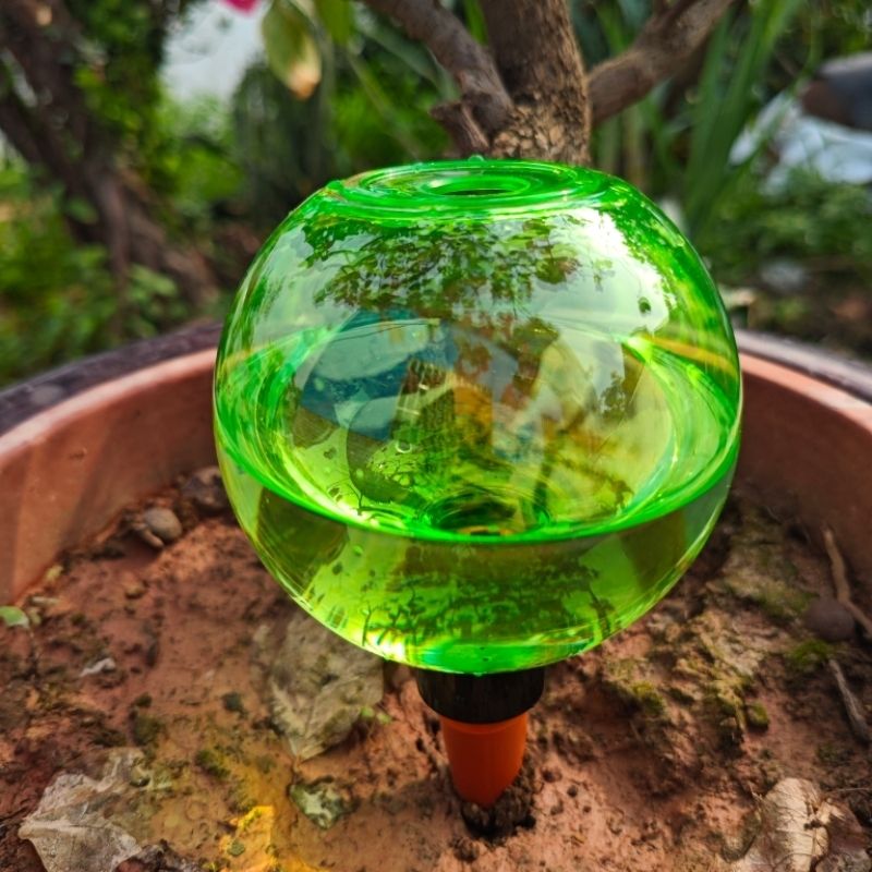 3 adet Büyük Bitki Kendiliğind - Self-Watering Planter incelemesi ve fiyatı