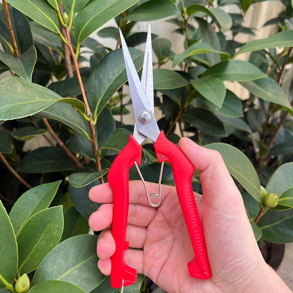 Pro Garden Budama Makası Uzatı - Essential Gardening Tools incelemesi ve fiyatı
