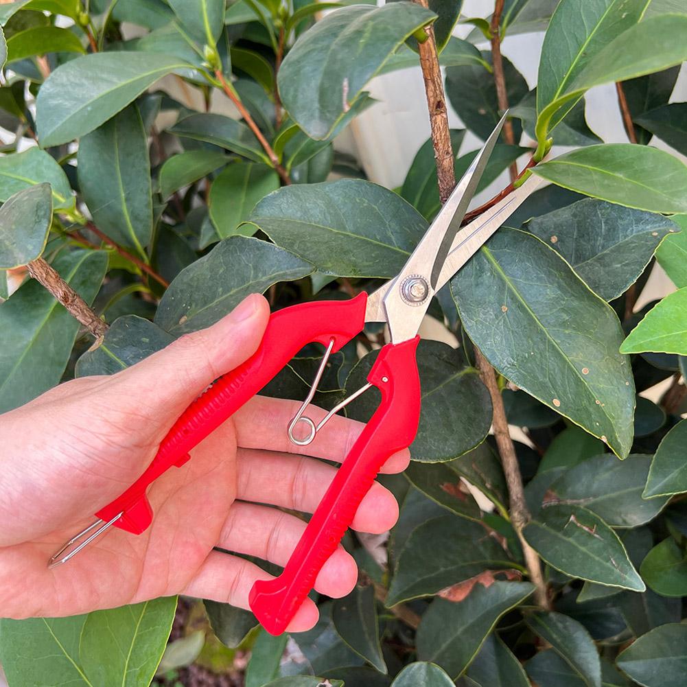 Pro Garden Budama Makası Uzatı - Essential Gardening Tools incelemesi ve fiyatı