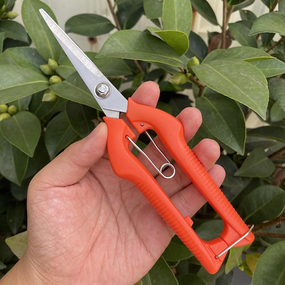Pro Garden Budama Makası Uzatı - Essential Gardening Tools incelemesi ve fiyatı