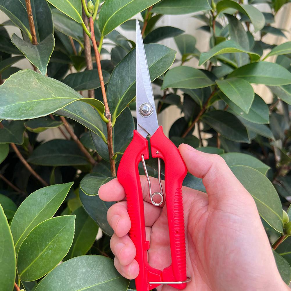 Pro Garden Budama Makası Uzatı - Essential Gardening Tools incelemesi ve fiyatı