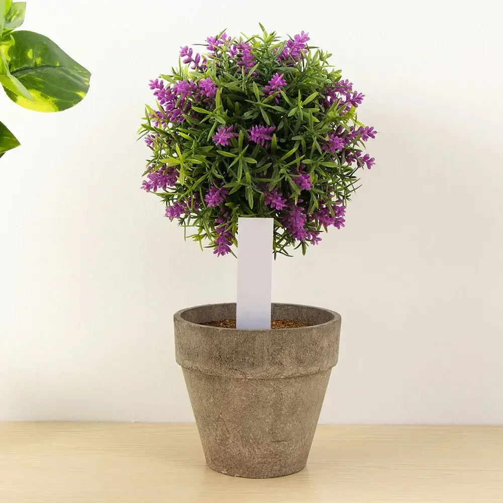 100 adet yeniden kullanılabili - Gardening Tools Labeled incelemesi ve fiyatı