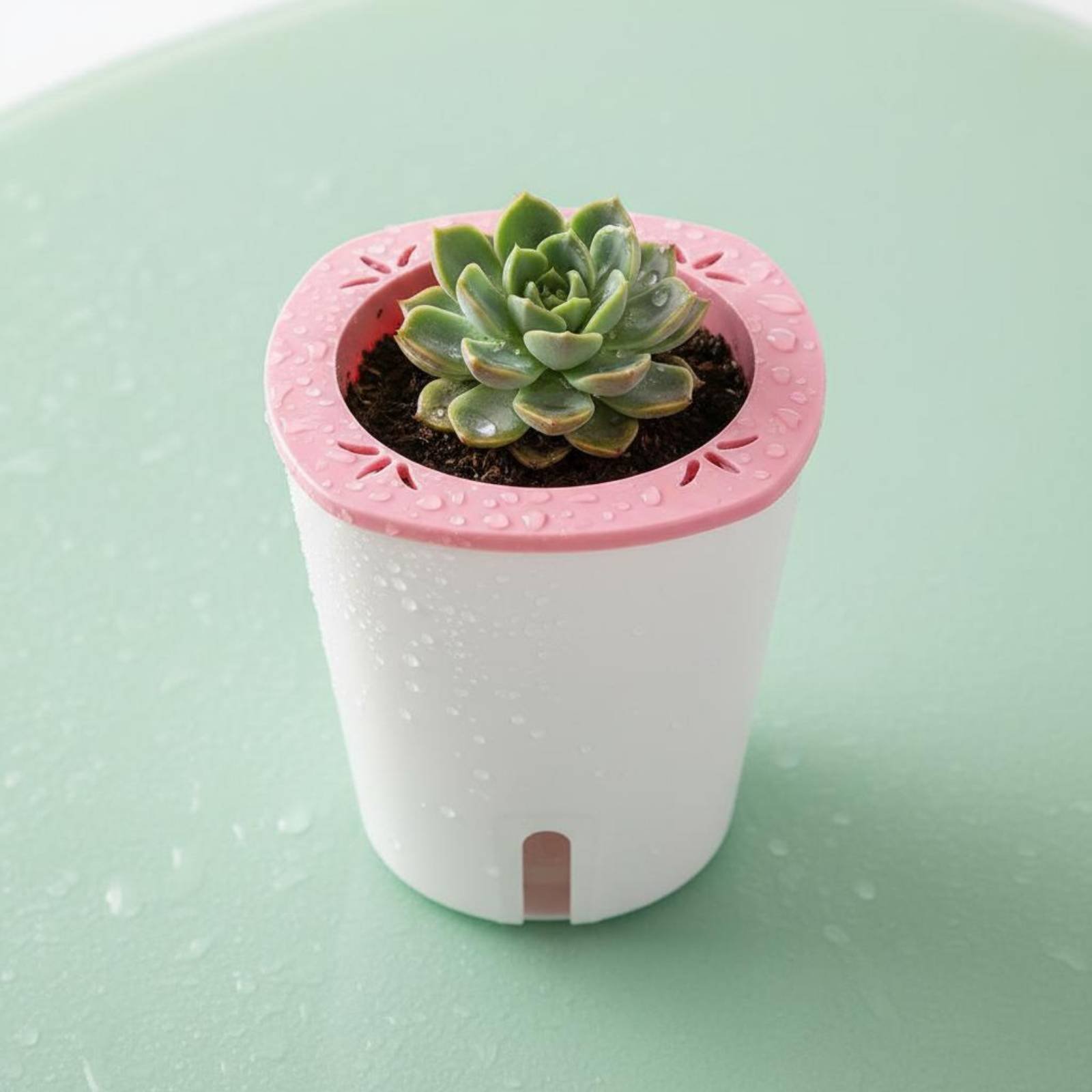 Kendi Kendine Sulayan Saksı Bü - Self-Watering Planter incelemesi ve fiyatı