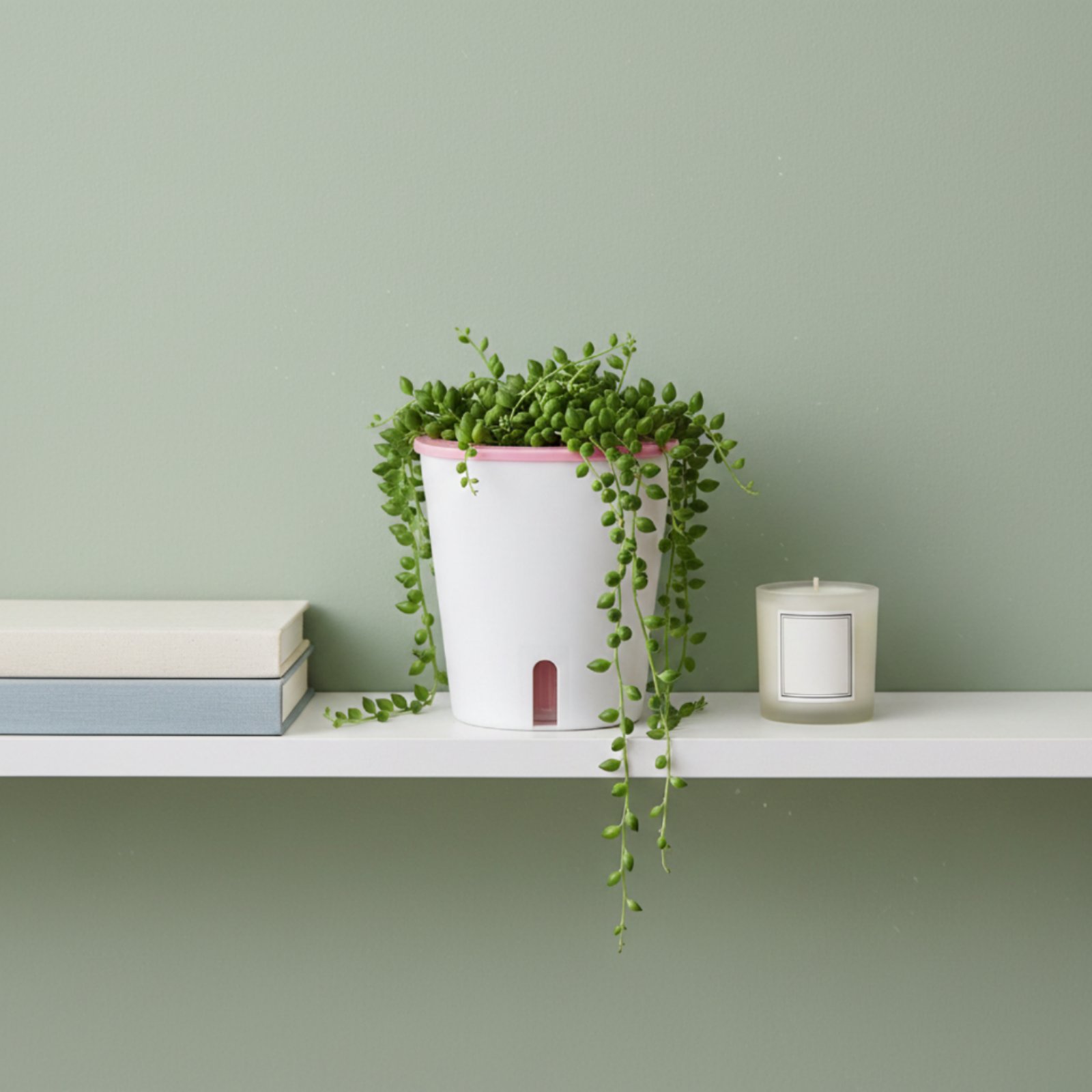 Kendi Kendine Sulayan Saksı Bü - Self-Watering Planter incelemesi ve fiyatı
