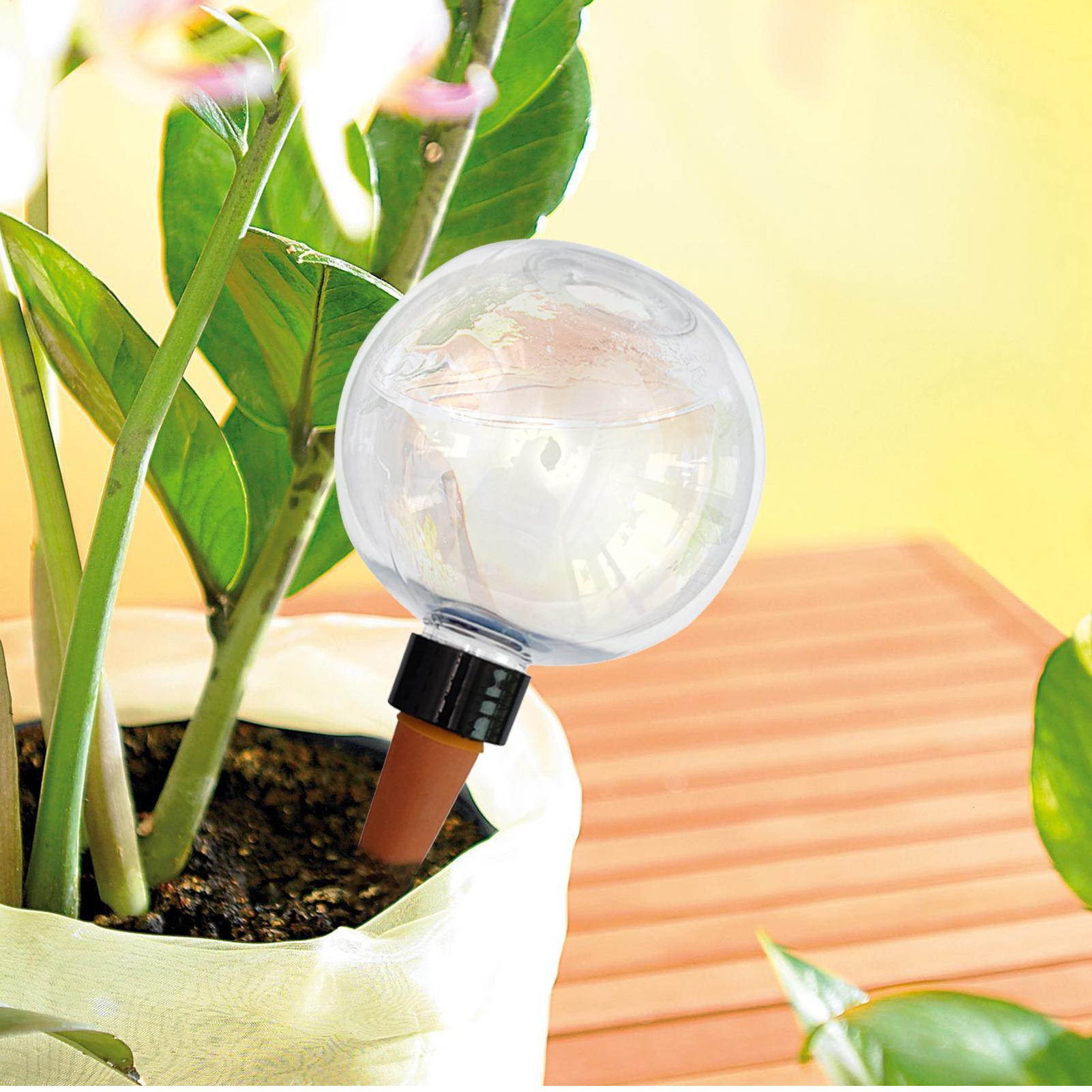 500ml Otomatik Bitki Sulama Am - Self-Watering Planter incelemesi ve fiyatı